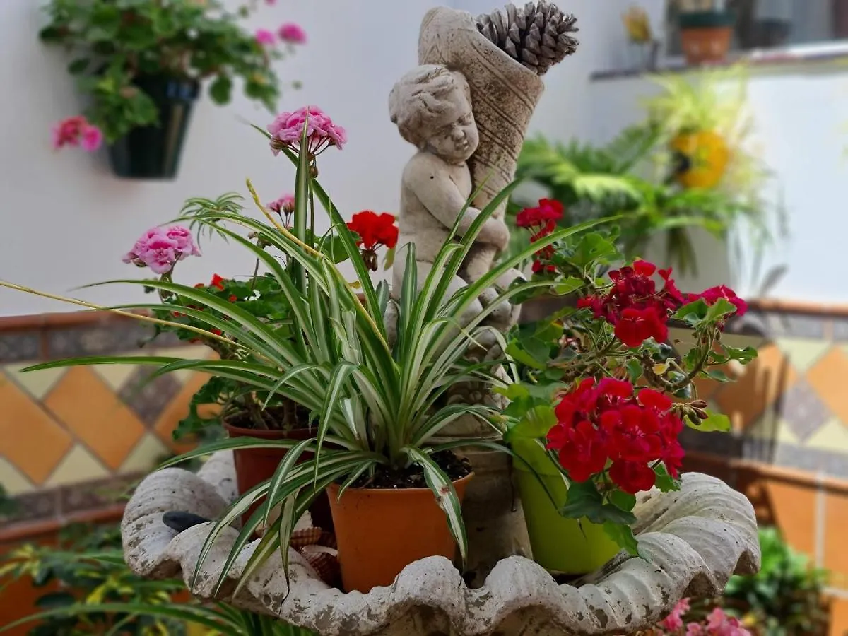 Apartamentos El Barrio Nerja 0*,  Spanyolország
